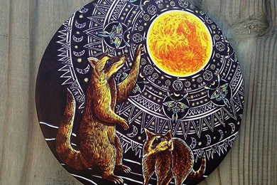 Widespread Panic Disc By Fuzzheadsmurf On DeviantArt