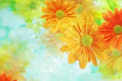 Widescreen Glefia.com Wallpapers