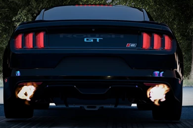 ROUSH PERFORMANCE] Roush P51B Mustang Special [Complete 10/28 ...