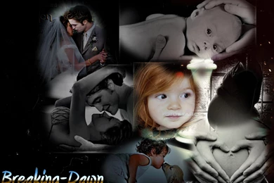 Breakig Dawn   Breaking Dawn Wallpapers (7970681)   Fanpop