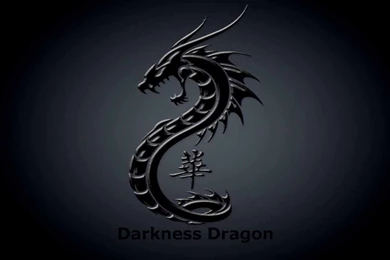 Dragon Head Wallpapers   Wallpapers Cave