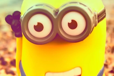The MinionSamsung Wallpapers Download