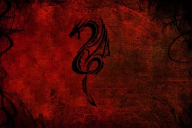 Tribal Dragon Tattoos Wallpapers   1163347