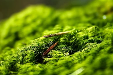 1080x1920   Samsung Wallpapers