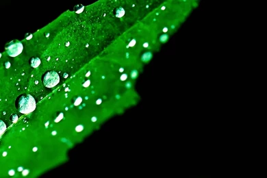 All The Little DetailsSamsung Wallpapers Download