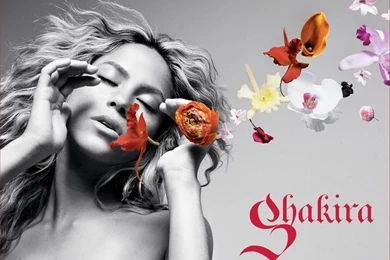 Free Wallpapers – Woman Vs Flowers, Which One Is More Beautiful ...