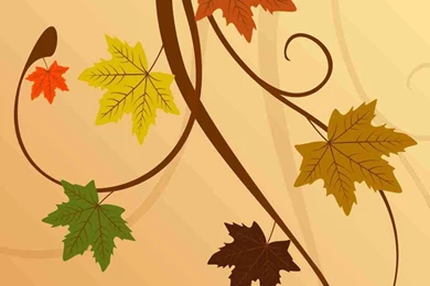 Girls Should Know About These Iphone 6 2015 Thanksgiving Wallpapers ...