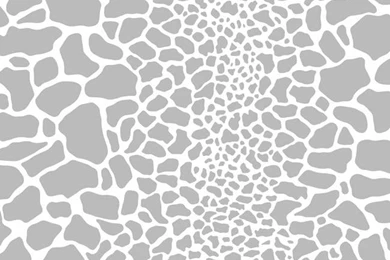 White Silver Je3679 Giraffe Skin Wallpapers By York