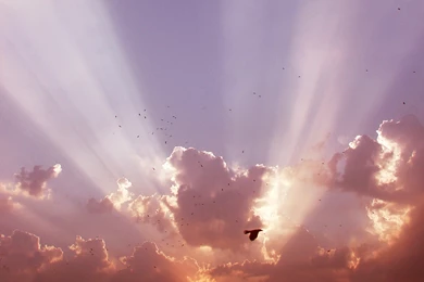 Heavenly Light 1600x1200px