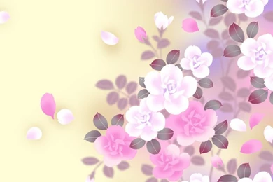 Download Free Designs Wallpapers Floral With Size 640x960 Pixels ...
