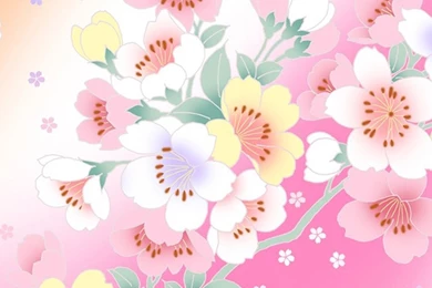 Flower iPhone 6 Plus Wallpapers 462