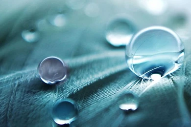 Download iPhone 5 Retina Display HD Wallpapers