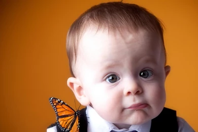 Free Download Baby Photo   HD Wallpapers Pretty