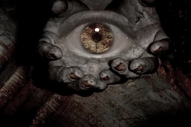 Eye In Hands Wallpapers From Eyes Wallpapers