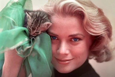 Big_ff2290109f0ce679d066c4e04b6363321694a202.jpg (1400×1050 ...