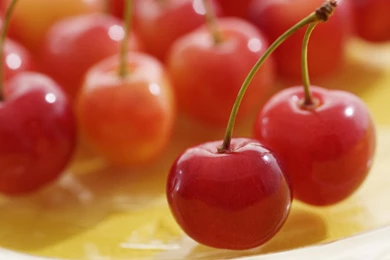 Desktop Wallpapers · Gallery · Miscellaneous · Sweet Cherry