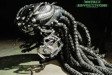 Matrix Squid Wallpapers (18929)   Wallpaperesque