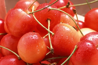 Desktop Wallpapers · Gallery · Nature · Sweet Cherries