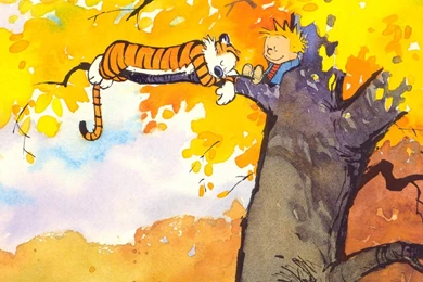 Calvin And Hobbes Wallpapers