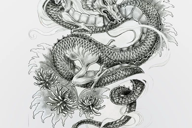 Dragon Art Tattoo Black Wallpaper Images HD Fr