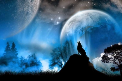 Desktop Black Wolf Wallpapers Dowload