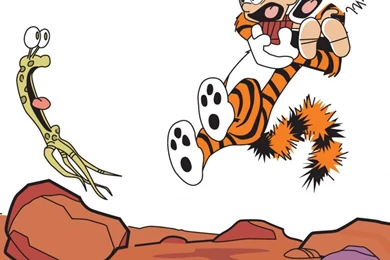 Calvin And Hobbes Funny Humor Animation Hd Wallpapers   (