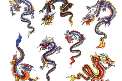 Dragon Tattoo Designs 350