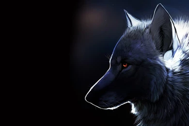 Wolf Wallpapers