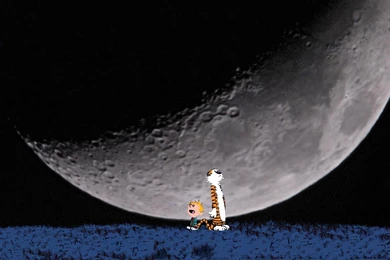 Calvin And Hobbes (id: 180079) – BUZZERG