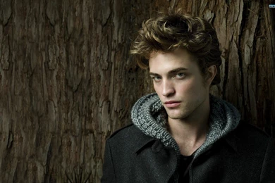 Hollywood Male Celebrities Wallpapers