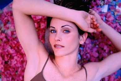 Courteney Cox   Courteney Cox Wallpapers (24395577)   Fanpop