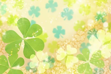 Download Stunning Spring Backgrounds 1024x768   Full HD Wall