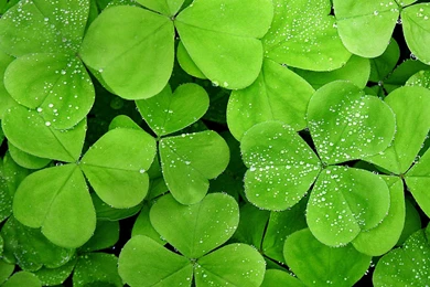 Hd Wallpapers For Windows 8 Wallpapers » WallDevil   Best Free HD ...