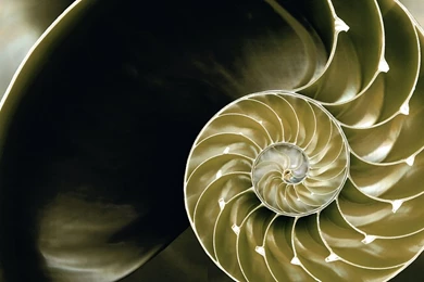 Official Windows 8 RTM Shell Wallpapers Wallpapers X