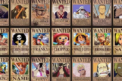One Piece Anime Movie Wanted