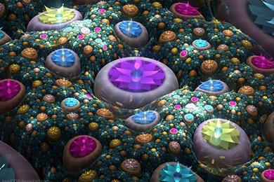 Fractals 3d Hd Wallpapers