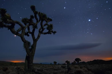 Joshua Tree National Park California Desert Wallpapers