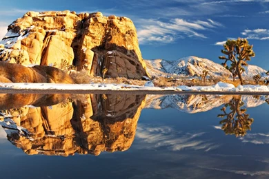 1400x720px 232.95 KB Joshua Tree National Park