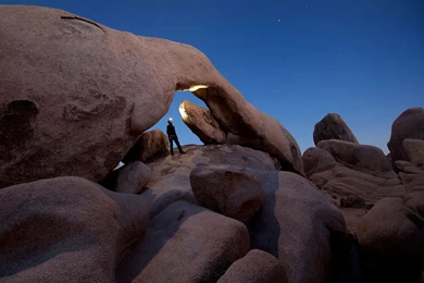 Joshua Tree Camping Summer   Wallpaper.