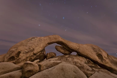 Joshua Tree National Park Night   Wallpaper.