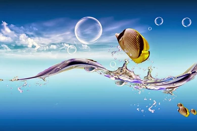 Brand New 3D HD Wallpapers