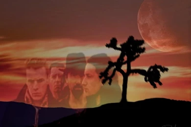 Joshua Tree Wallpapers   U2 Feedback