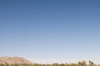 Joshua Tree Desert Road iPhone 5s Wallpapers Download