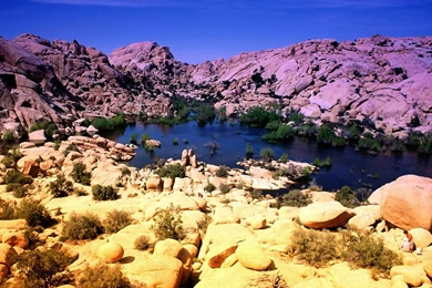 Nature: Vivid Vista Joshua Tree National Park California, Picture ...