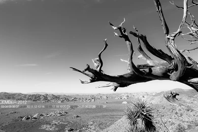 December 2012 Wedding Photographer