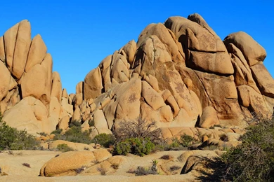 Joshua National Park