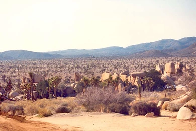 Wallpapers   Screensavers