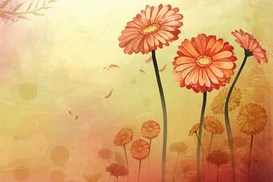Orange Flowers Wallpapers