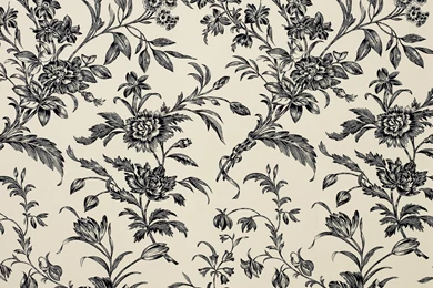 Bathroom Decor Ideas