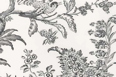 Hand Drawn Floral Vine Wallpapers